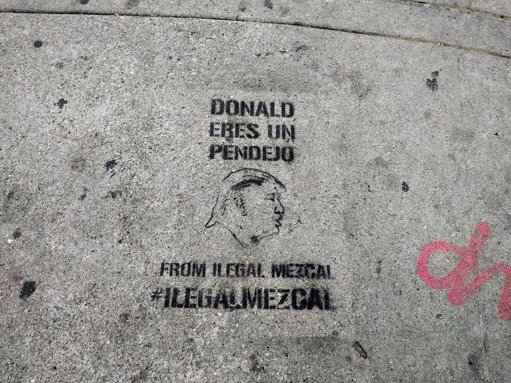 Donald Eres un Pendejo, sidewalk stencil, Sunset Junction, Los Angeles, California, USA