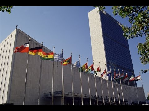 What is United Nations and What Does it Do? - Mini Documentary