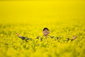 Colin Falls is a farmer from the plains north of Bendigo. He has a cracking crop of canola, which is now in full flower, ...