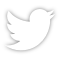 Twitter Logo