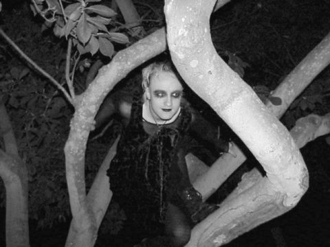 karkajou-automaton submitted this photo with the comment “This is me from 1999 in Santa Barbara. Throwback Thursday.”
Greetings poignant friends. Sadly, it’s been a while between goths up trees but we goths have lives too, you know. I’ve been places...