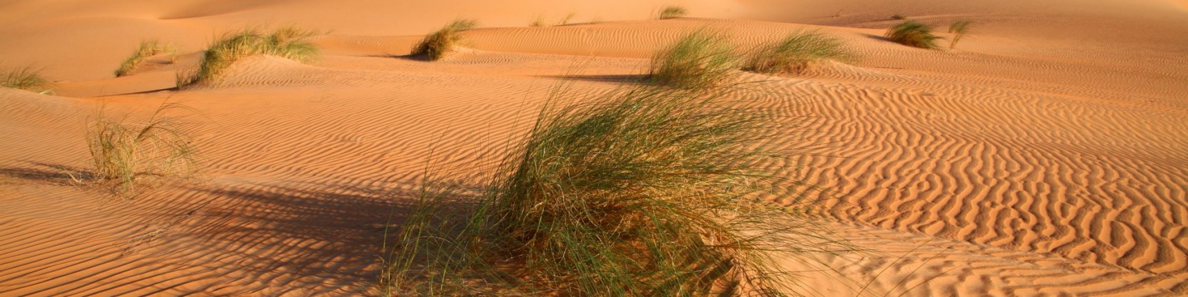 Mauritania