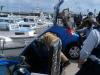 Car hangs off pier in bayside suburb