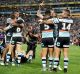 A long time coming: Cronulla players celebrate. 