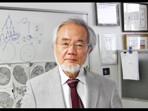 The Latest: Japanese scientist wins Nobel medicine prize