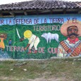 Familias organizadas de la comunidad San Francisco del municipio de Teopisca, Chiapas denuncian que un grupo de personas militantes del Partido Verde Ecologista de Méxcio...