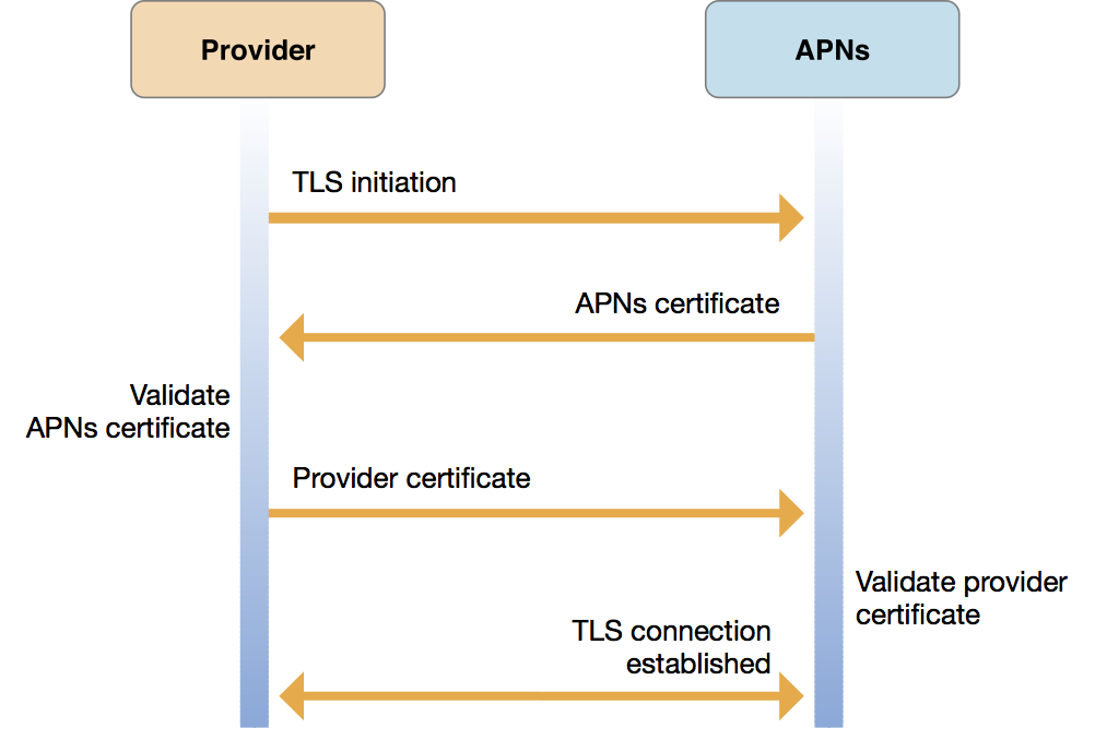 Provider-to-service connection trust