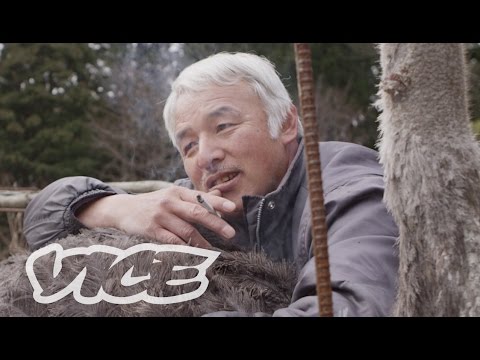 The Last Farmer in Fukushima's Post-Nuclear Wasteland: VICE INTL (Japan)