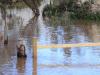 Myrtleford residents told to evacuate