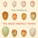 'The most perfect thing - inside (and outside ) a bird's egg' - from front cover.