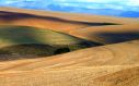 Clouds cast their fast moving shadows across the rolling arable farmlands of South Africa's Western Cape region, where production will become increasingly stretched with warming climate. Photo: Christopher Griner via Flickr (CC BY).