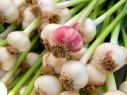 Fresh organic 'Heirloom' garlic from New Roots Farm in Newmarket NH, at the Portsmouth, NH farmer's market. Photo: ilovebutter via Flickr (CC BY).