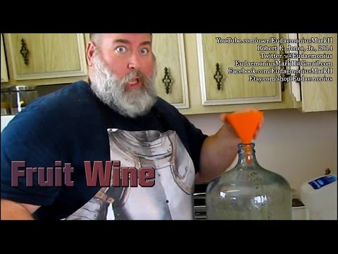 How To Make FRUIT WINE - Day 16,463