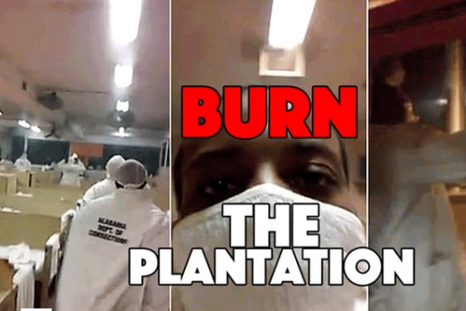 Burn the plantations from Submedia.tv