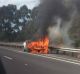 A car fire which sparked a bushfire in Sydney's south on Friday.