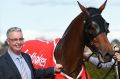 Trainer Tony Pike with Sacred Elixir after winning the  Caulfield Guineas Prelude last month.
