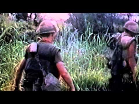 Post-Traumatic Stress Disorder (PTSD) and Vietnam Veterans