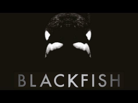 BLACKFISH - Killer Whales at SeaWorld Documentary Maker Gabriela Cowperthwaite