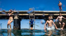 Children take the plunge at Chowder Bay.