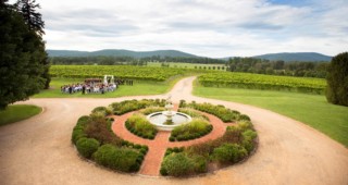 Albemarle County staff would like to impose new regulations on weddings at local farm wineries, breweries, cideries and distilleries. Photo by Aaron Watson