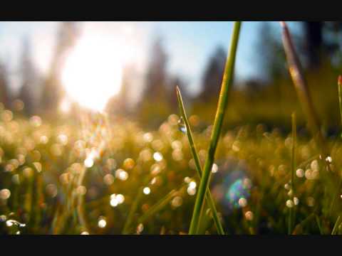 Joseph Haydn - Symphony No. 6 in D, "Morning"