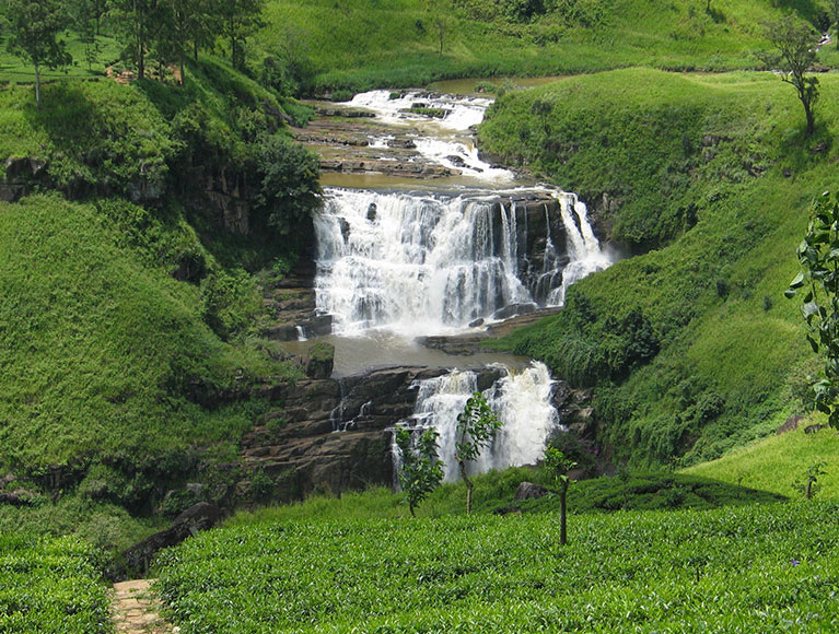 Sriankan Tourism Catogory