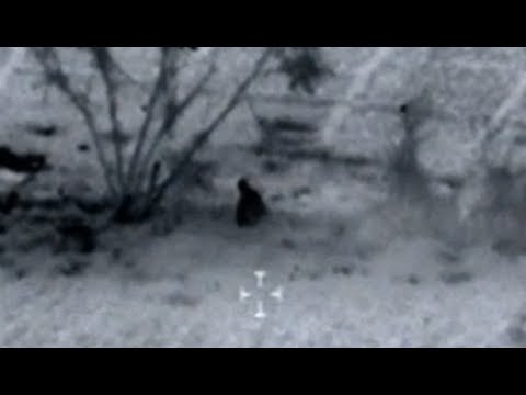 A10 WARTHOG STRIKES A TALIBAN PATROL