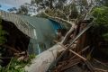 A Millgrove woman was killed when this tree crashed into her home.