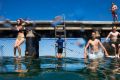 Children take the plunge at Chowder Bay.