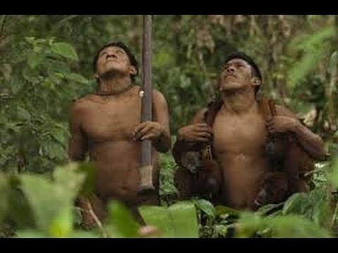 hunt  monkeys and boar Yanomami indigenous in the Amazon jungle -Full Documentary 1983