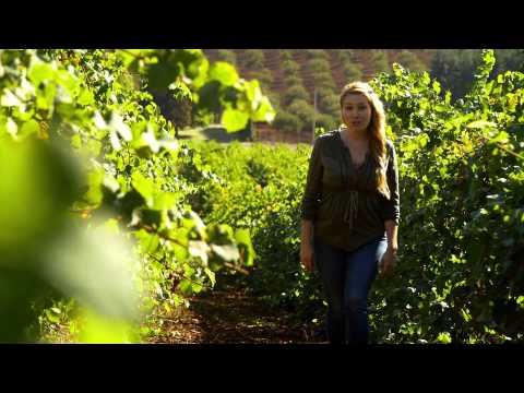 Willamette Valley: Escape to Oregon Wine Country for a Romantic USA Vacation