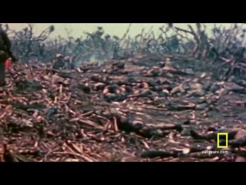 World War II Documentary