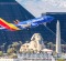 Are Southwest the best airline in America?