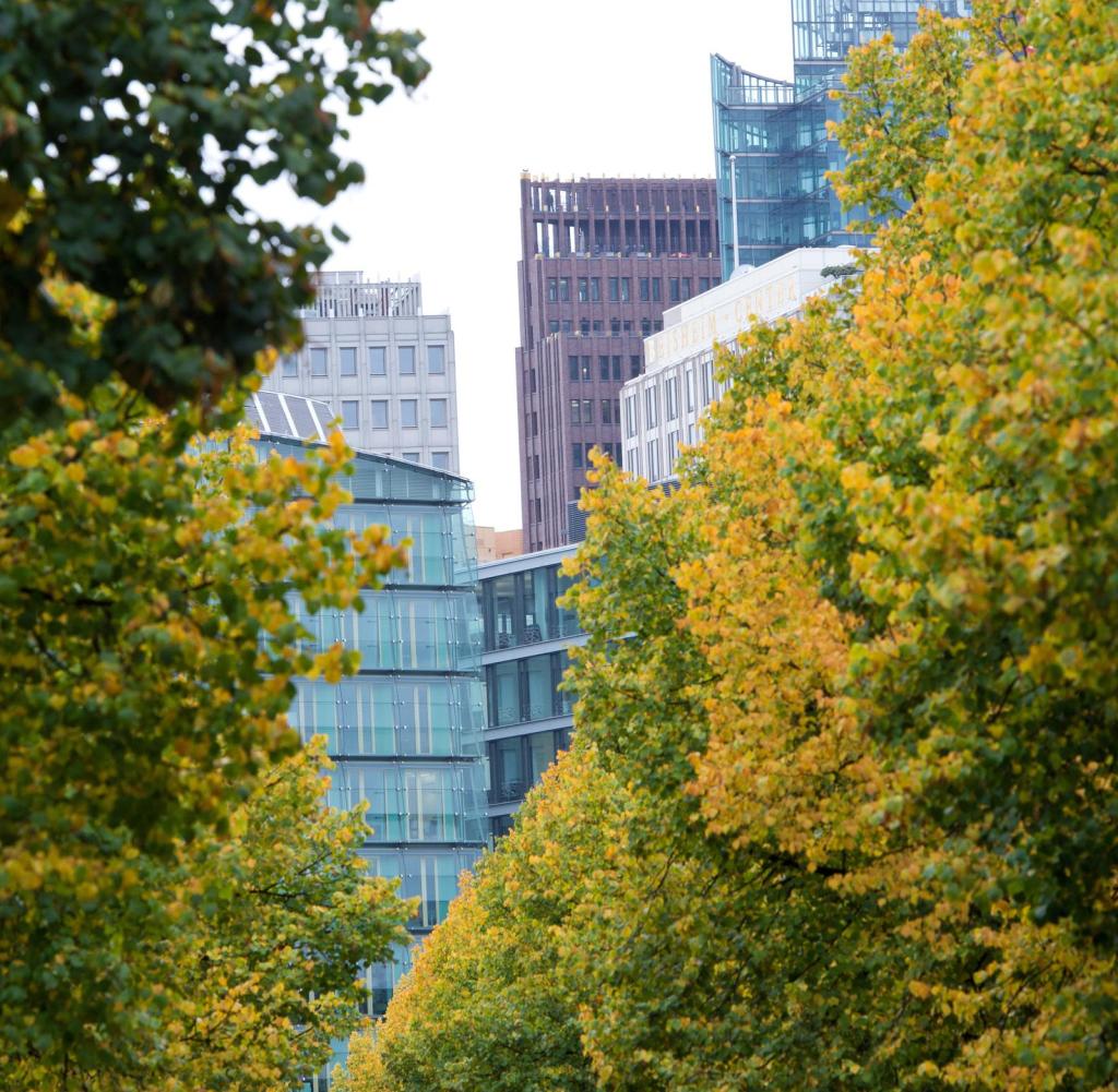 Bäume in der Stadt - hier am Potsdamer Platz in Berlin – speichern weniger Kohlendioxid als auf dem Land