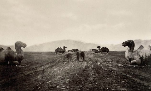 Thomas Child. No. 154. Ming Tombs Avenue of Stone Figures. c.1870s.