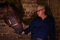 Cups bound: Trainer Mick Price with Tarzino.