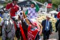 Racing Victoria are worried about the downturn in entry numbers to Australia's biggest distance races, the Melbourne Cup ...