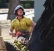 Tree removal at Northbourne Avenue on April 20.