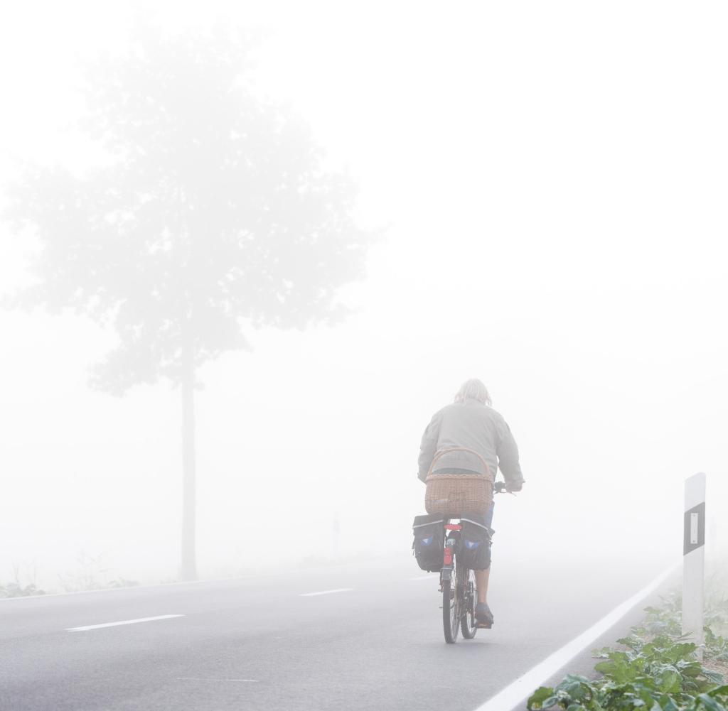 Im Herbst erwachen die Tage häufiger mit Nebel – und die Menschen öfter mit Erkältung