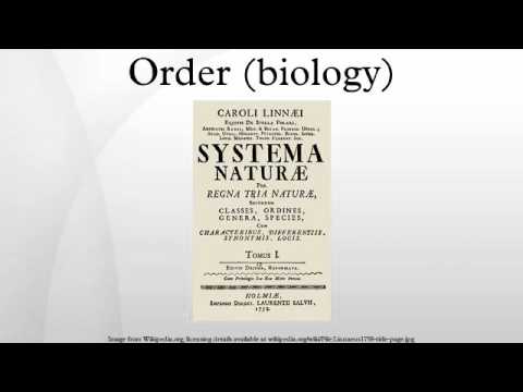 Order (biology)