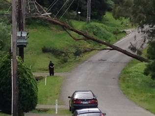 More than 5000 houses are without power in Healesville as fierce winds have brought down trees and powerlines. Crews are yet to attend this incident in Ryans Rd. Other reports coming in that emergency crews are working in the Black Spur after at least 5 large trees have fallen, one tree fell between two cars. Expect traffic delays.