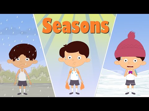 Seasons on Earth | Videos for Kids