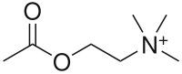 Strukturformel