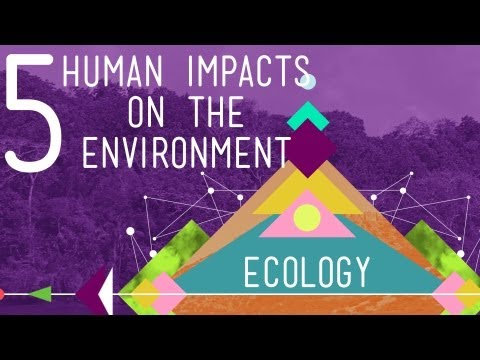 5 Human Impacts on the Environment: Crash Course Ecology #10