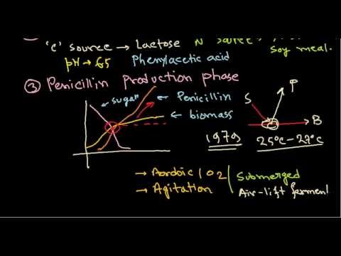 Penicillin production - industrial production