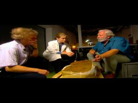 Time Team Special 23 (2005) - The King of Bling (Southend, Essex)