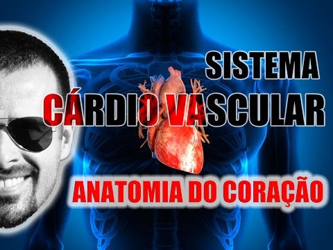 Vídeo Aula 045 - Sistema Cardiovascular: Anatomia, localização e envoltórios (camadas) do coração