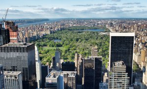 Central Park viewed from atop the GE Building NYC  Manhattan