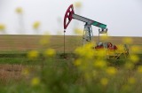 Any  proposed deal could fall over if  non-OPEC members – particularly Russia which produces more crude oil than any ...