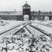 Auschwitz pic